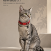 1007ebddf6fecbf78d0c37017328777e6bd4f69524f5805503e2a445a172e81f Collar para Gato con Dije Decorativo Ajustable