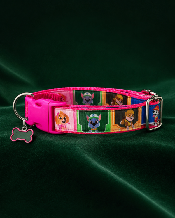 12dfa86f48026f377a0b2cf13355b135164da860980aeccb7eb3f251fb4e3485 Collar Placa Talla M para Perros con Dije Hueso – Estampado Multicolor