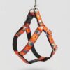 1789756318570(3) Arnés Full Estampado Talla L para Perros con Correa