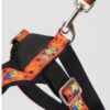 1789756318570(5) Arnés Full Estampado Talla L para Perros con Correa