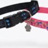1789758803518(1) Collar Placa Talla S para Perros con Dije Pequeño