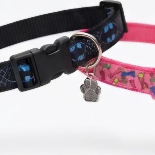 1789758803518(1) Collar Placa Talla S para Perros con Dije Pequeño
