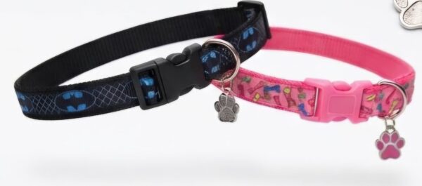 1789758803518(1) Collar Placa Talla S para Perros con Dije Pequeño