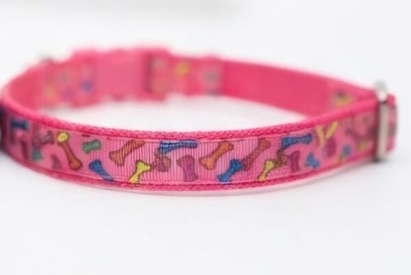 1789758803518(3) Collar Placa Talla S para Perros con Dije Pequeño