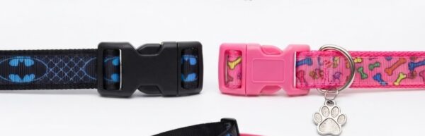 1789758803518(4) Collar Placa Talla S para Perros con Dije Pequeño