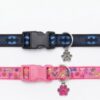 1789758803518(5) Collar Placa Talla S para Perros con Dije Pequeño