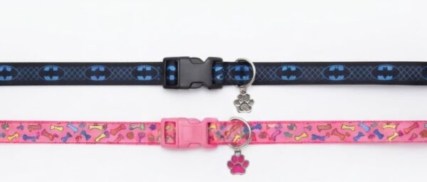 1789758803518(5) Collar Placa Talla S para Perros con Dije Pequeño