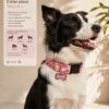 3dfc5bdbd777249de27897d7b5de06fddb96df5b604bc0766ace4f4a3588abc1 Collar Placa Talla L para Perros con Dije Huella - Estampado