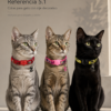41a2b4b4206f79192e818c696325b31104c24eb5304a160a8a9bc68fd5a2706f Collar para Gato con Dije Decorativo Ajustable