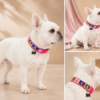 b1d2802e4544dd6e67ffe50dff5e69a4618026245d69e2aad7c8fdbac9dcbe86 Collar Placa Talla M para Perros con Dije Hueso – Estampado Multicolor