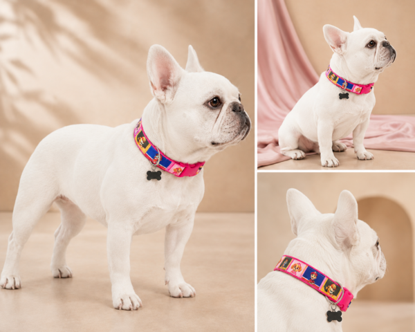 b1d2802e4544dd6e67ffe50dff5e69a4618026245d69e2aad7c8fdbac9dcbe86 Collar Placa Talla M para Perros con Dije Hueso – Estampado Multicolor
