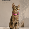 bf124ade5621daa0a7b103cbfd49e0dd79b81d009aa392cc66657118d95c1e7e Collar para Gato con Dije Decorativo Ajustable