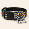 eb740b2aeb1c173f0eb562139623bd540b74eda7c258ba24eb34a2f0cc83a825 Collar Placa Talla L para Perros con Dije Huella - Estampado
