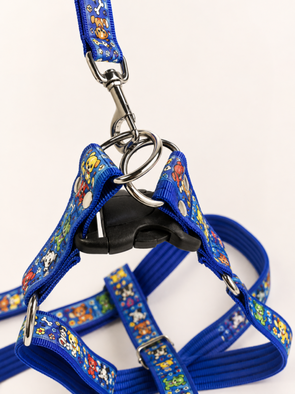 file_000000000394820eb53bffb2401168bf Arnés Estampado XL para Perros con Correa – Multicolor
