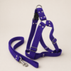file_000000001554820e9d1abcde4a7dad59 Arnés Unicolor XL para Perros con Correa
