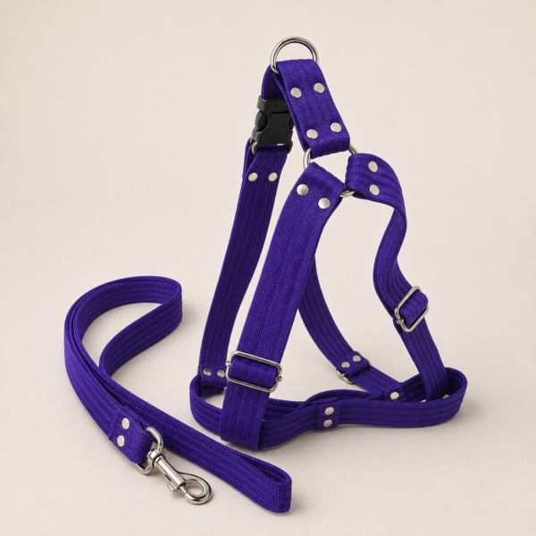 file_000000001554820e9d1abcde4a7dad59 Arnés Unicolor XL para Perros con Correa