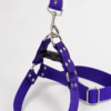 file_0000000065e8820ebc341aa2318e2add Arnés Unicolor XL para Perros con Correa