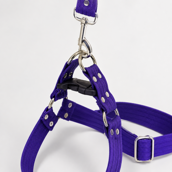 file_0000000065e8820ebc341aa2318e2add Arnés Unicolor XL para Perros con Correa