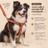 file_0000000067a081f6bb1b8a7540fab8cc Arnés Full Estampado Talla L para Perros con Correa
