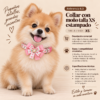 file_000000006a1c81f687a190ad16c8da8f Collar con Moño Talla XS para Perros