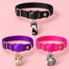 file_000000006bd481f6b6fc35280b849262 Collar para Gato Ajustable con Dije de Lujo – Colores Surtidos