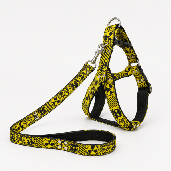 file_000000007468820ea3a879b3dd69cd03 Arnés Full Estampado XL para Perros con Correa