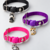 file_00000000aff481f68131a8b9e4878e93 Collar para Gato Ajustable con Dije de Lujo – Colores Surtidos