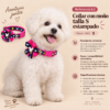file_00000000b5ec81f68ac5e132f52a7de2 Collar con Moño Talla S para Perros