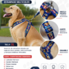 file_00000000b648820eb7108675a7b121ef Arnés Estampado XL para Perros con Correa – Multicolor