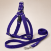file_00000000d704820eb2e33f506e378066 Arnés Unicolor XL para Perros con Correa