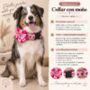file_00000000e7e481f6b39703e7300ffa1d Collar con Moño Talla L para Perros