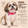 file_00000000ecb881f6a326310ac307948c Collar Placa Talla S para Perros con Dije Pequeño