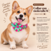 file_00000000fe6081f6a4f3dc945e3cacd3 Collar con Moño Talla M para Perros